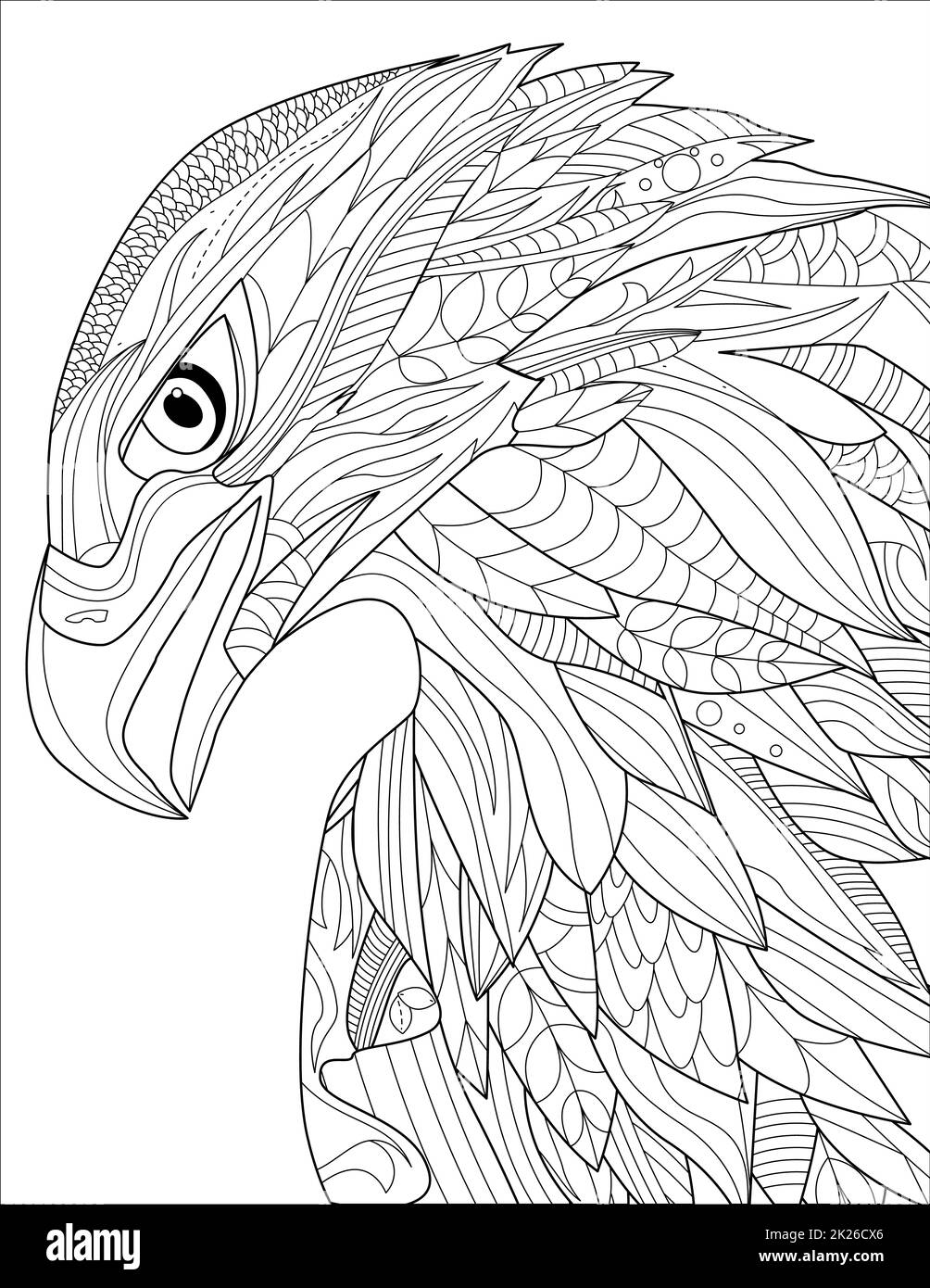 Eagle Head Line Drawing With Geometric Detailed Coloring Book idea Stock Photo