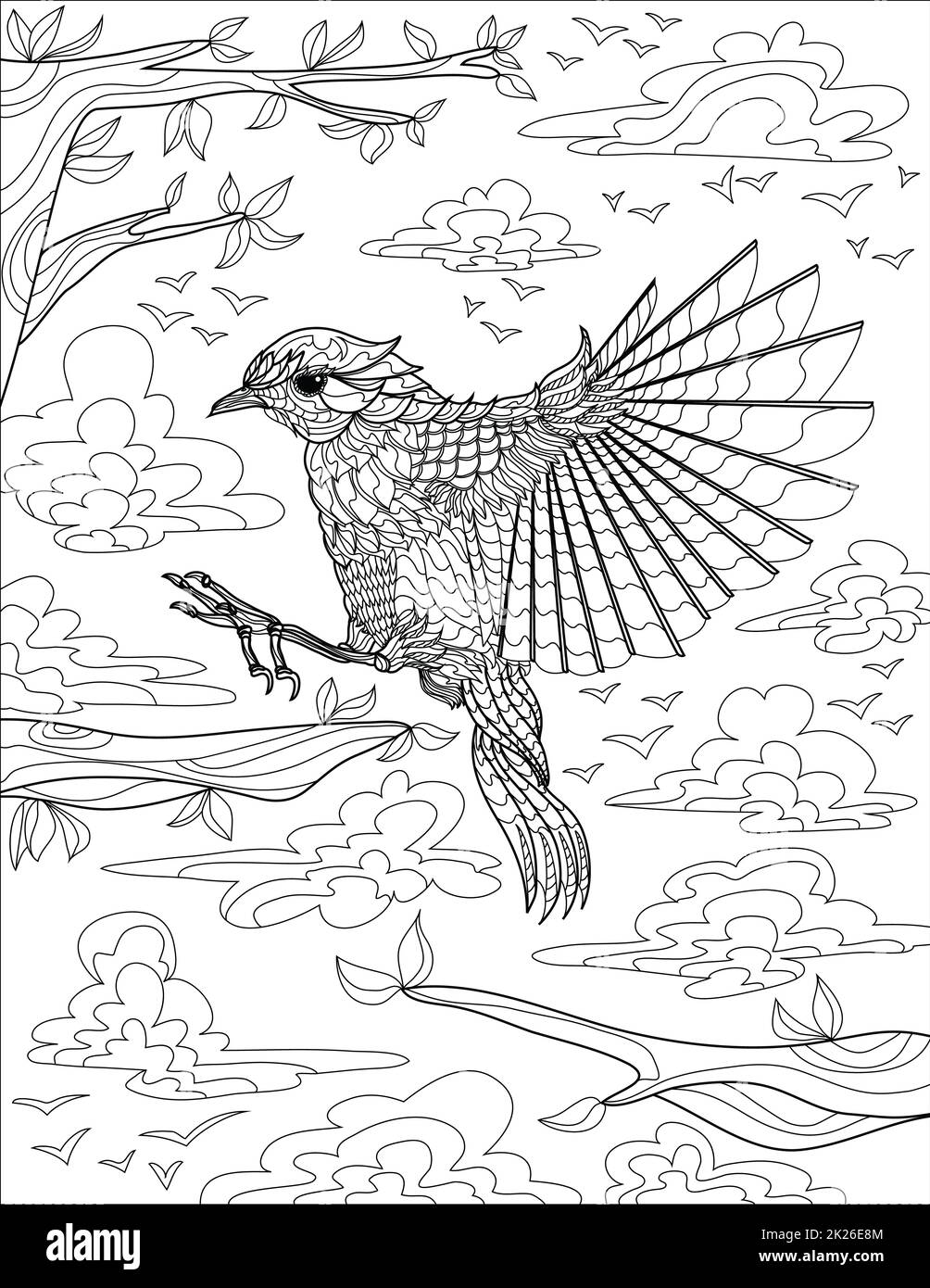 Hawk Line Drawing Landing On Tree Branch Surrounded With Clouds And Details Background Coloring Book Stock Photo
