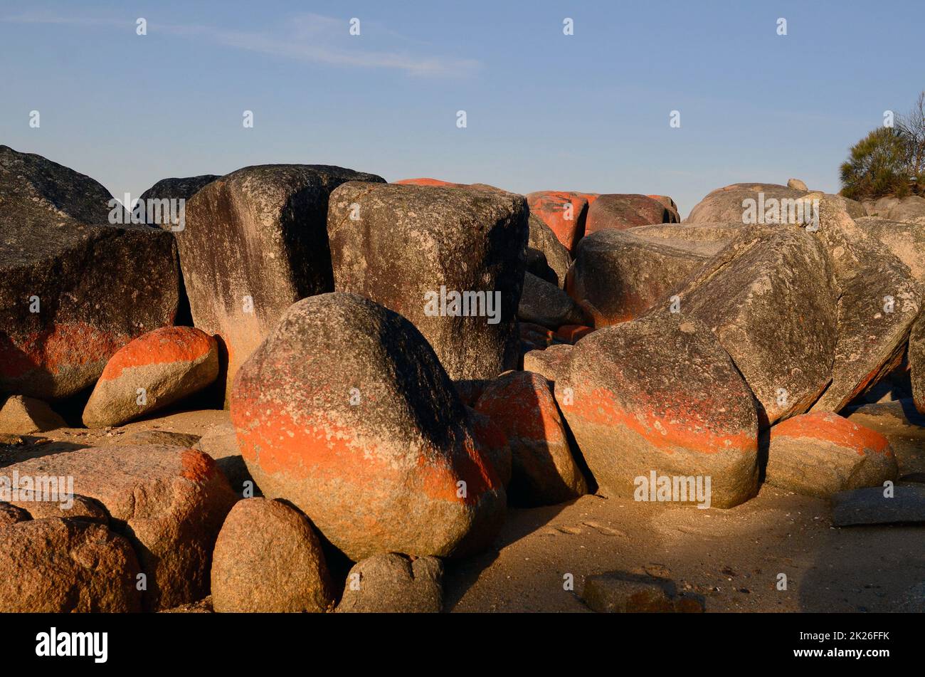 Bright red rocks at the Bay of Fires in Tasmania, Australia Stock Photo