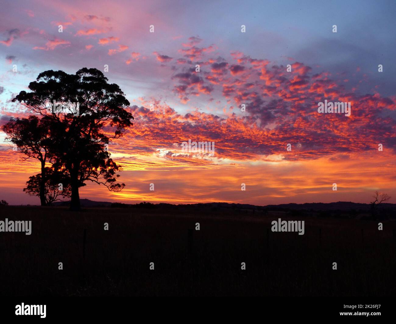 Sunset in a field in rural Australia Stock Photo