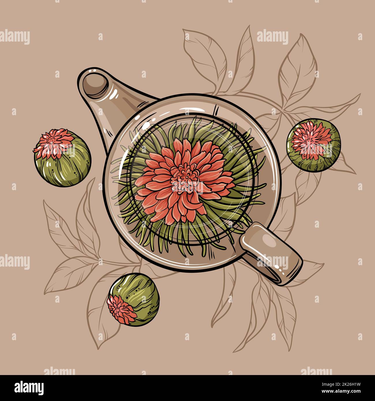 Flowering plant vector hi-res stock photography and images - Alamy