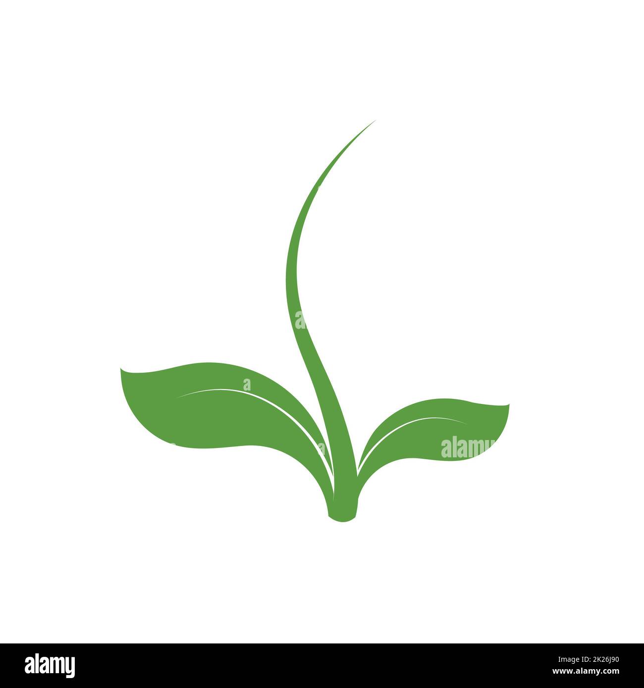 Symbol life. Origin seedling logo. Green plant sign. Vector isolated unusual sprout illustration. Stock Photo