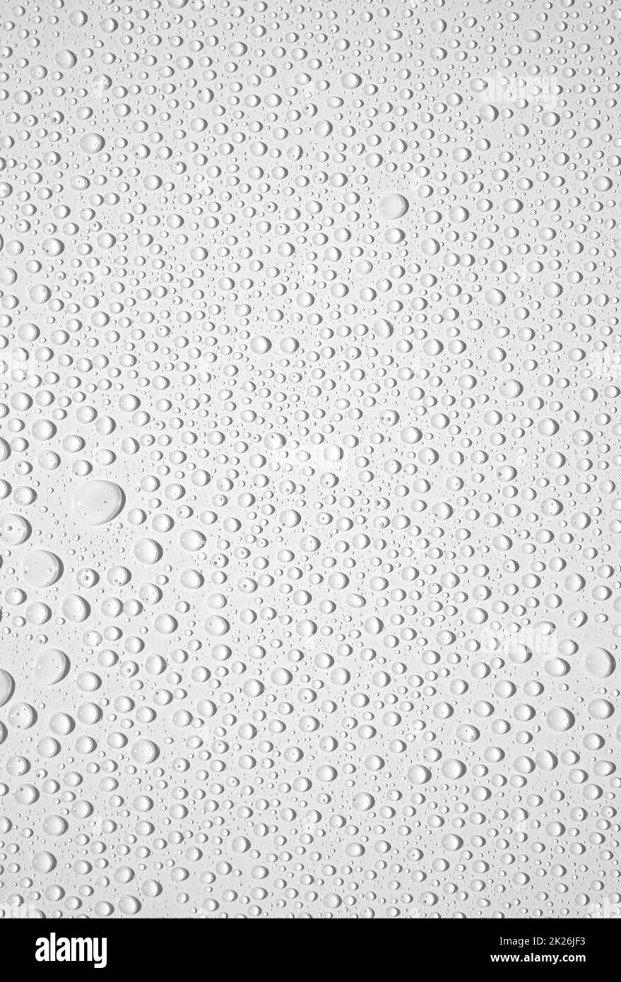 Fresh water drops on white background Stock Photo - Alamy