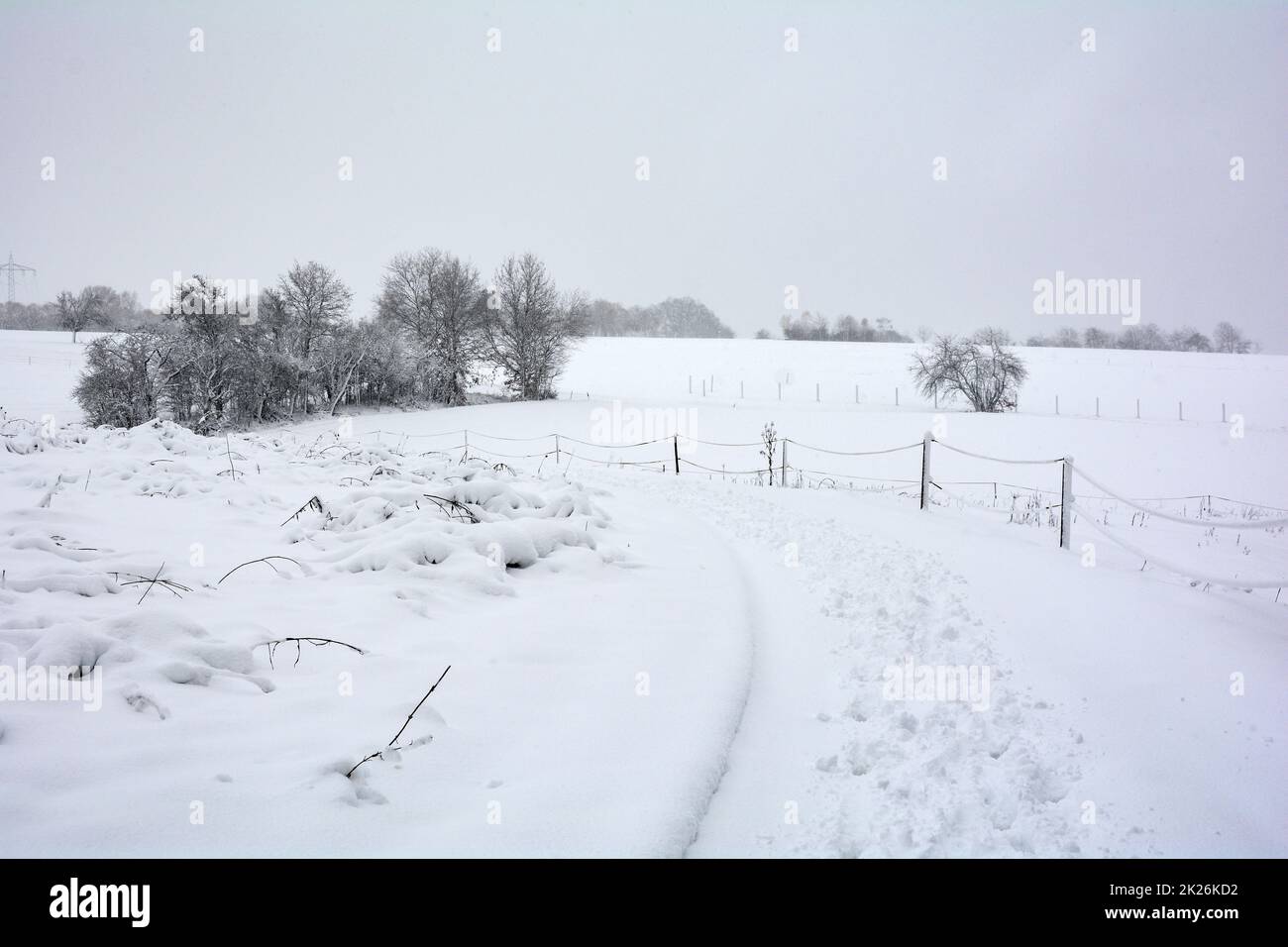 Winter landscape with a fence, trees and snow Stock Photo - Alamy