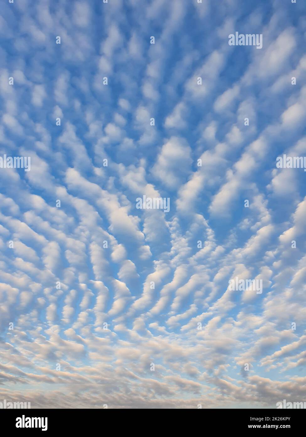 Abstract cloudscape scene. Beautiful sky background with fluffy clouds texture. Marvelous aerial composition, overcast shapes and patterns. Air freshness and celestial beauty Stock Photo