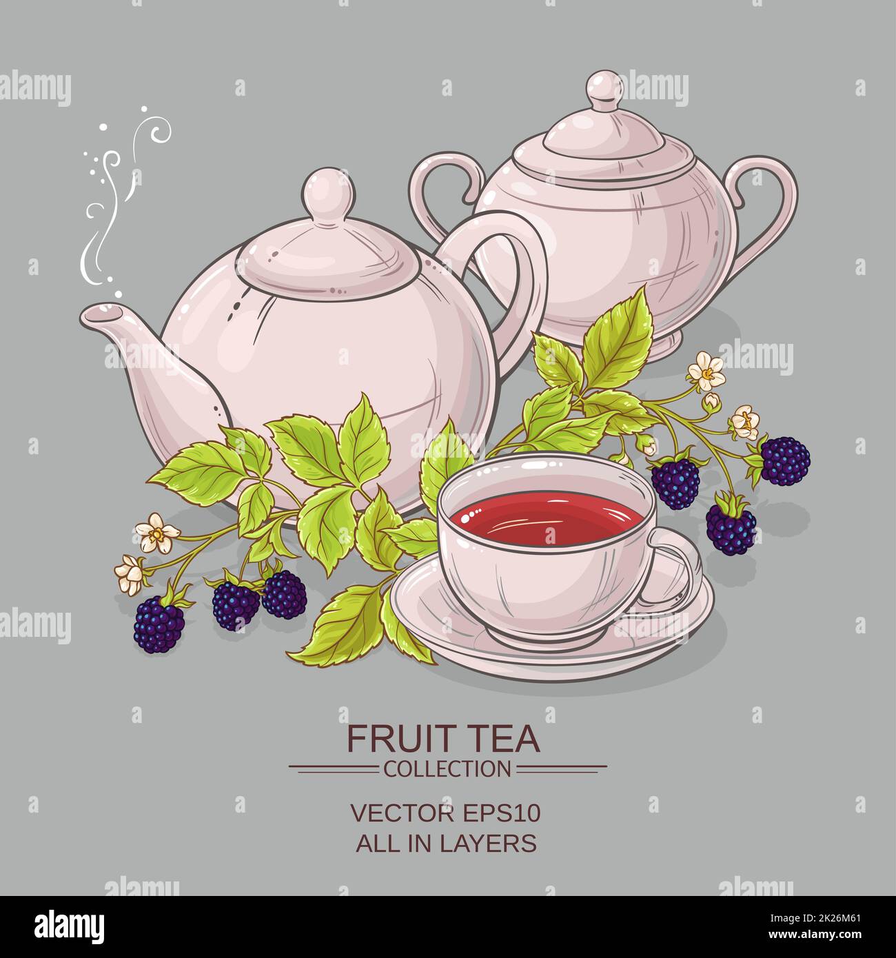 blackberry tea vector illustration Stock Photo - Alamy