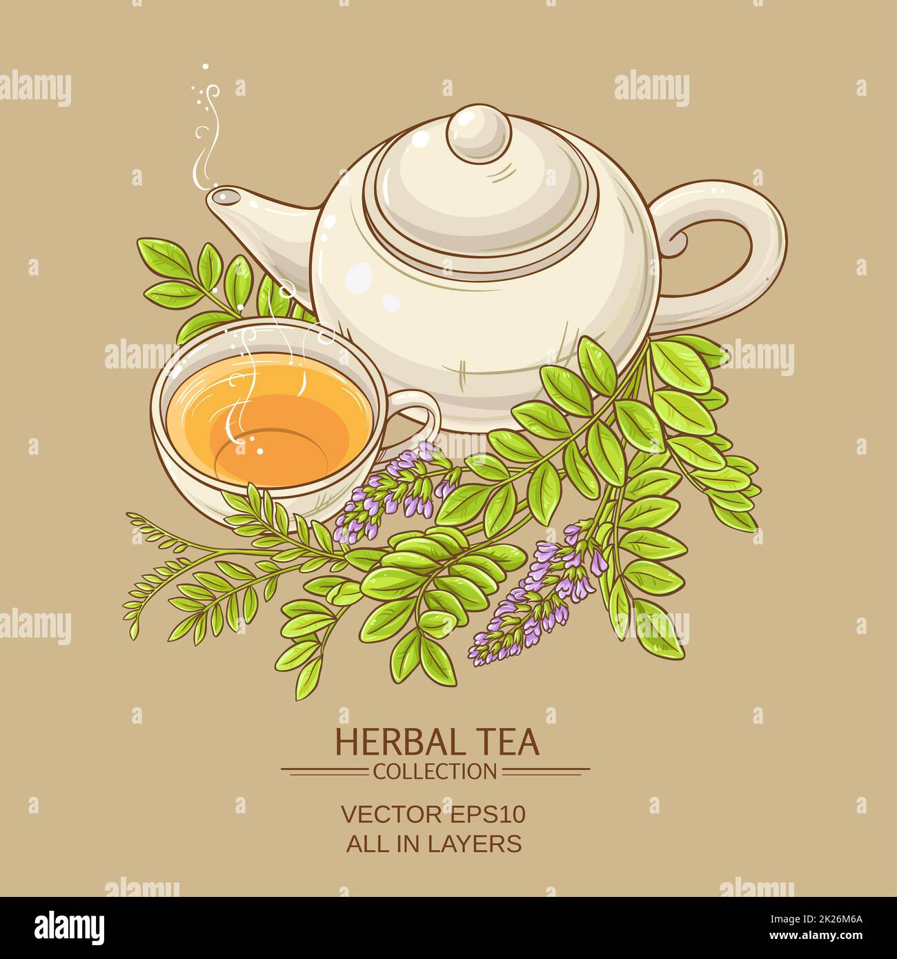 cup of licorice tea and teapot Stock Photo Alamy