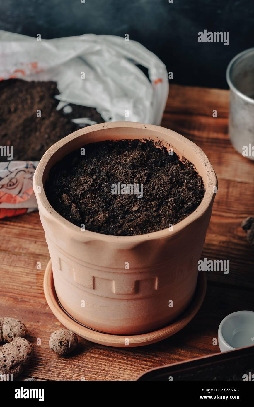 Clay Pot Full of Soil and Sowed Seeds of Thyme Stock Photo