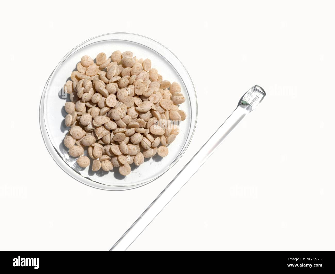 Sumac not leaf not plant not tree hires stock photography and images