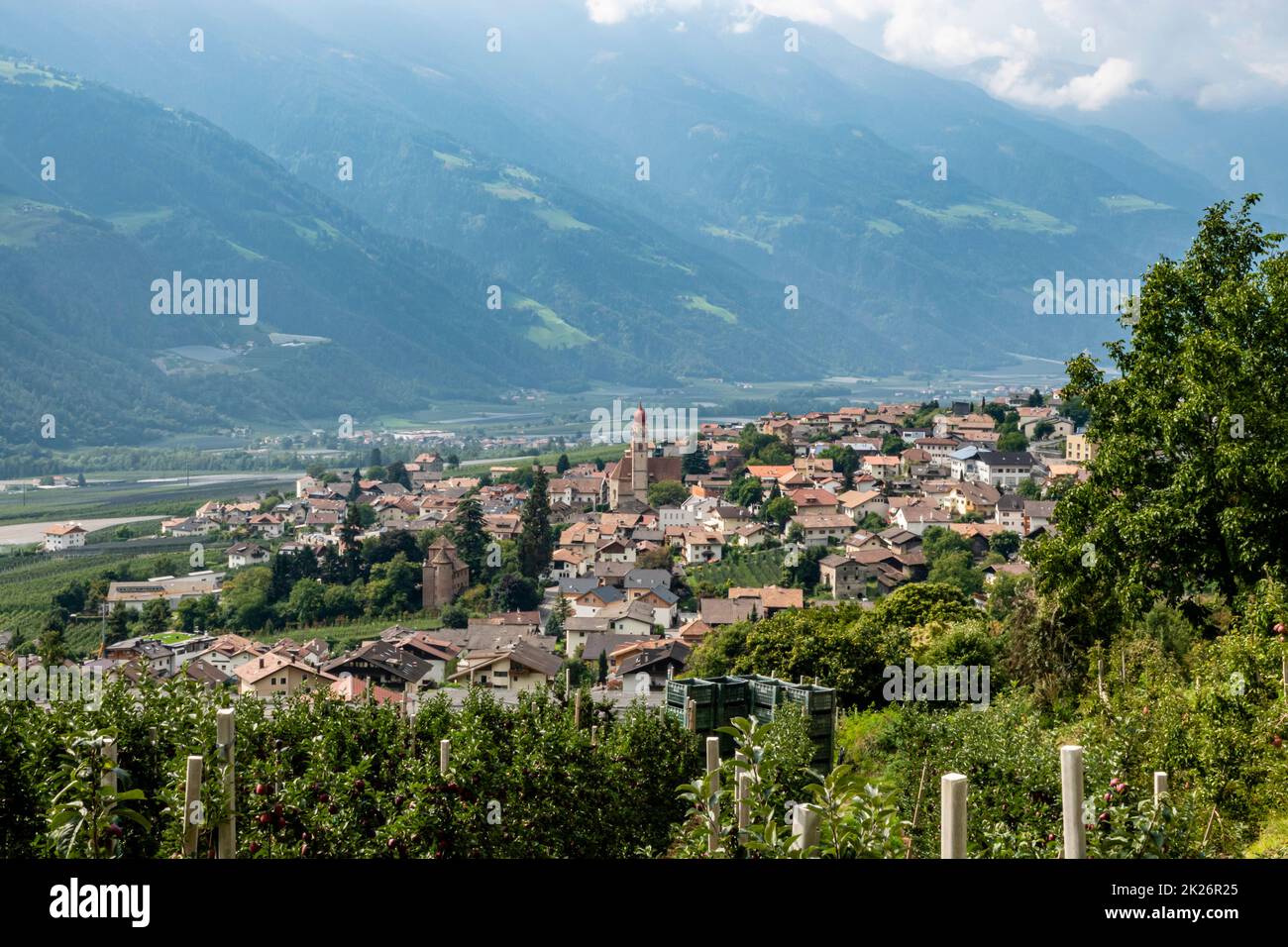 Partschins with Apple Trees, South Tyrol, Italy Stock Photo