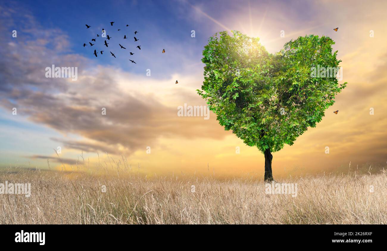 Heart Tree Love For Nature Landscape Stock Photo
