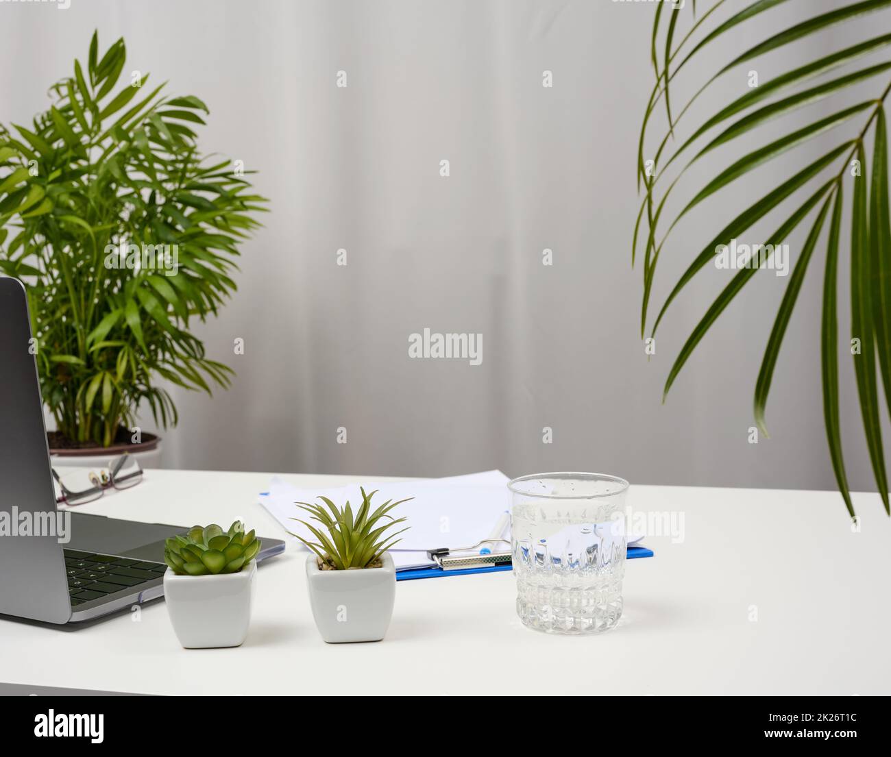 Office Table Plants Keyboard Hi res Stock Photography And Images Alamy office-table-plants-keyboard-hi-res-stock-photography-and-images-alamy