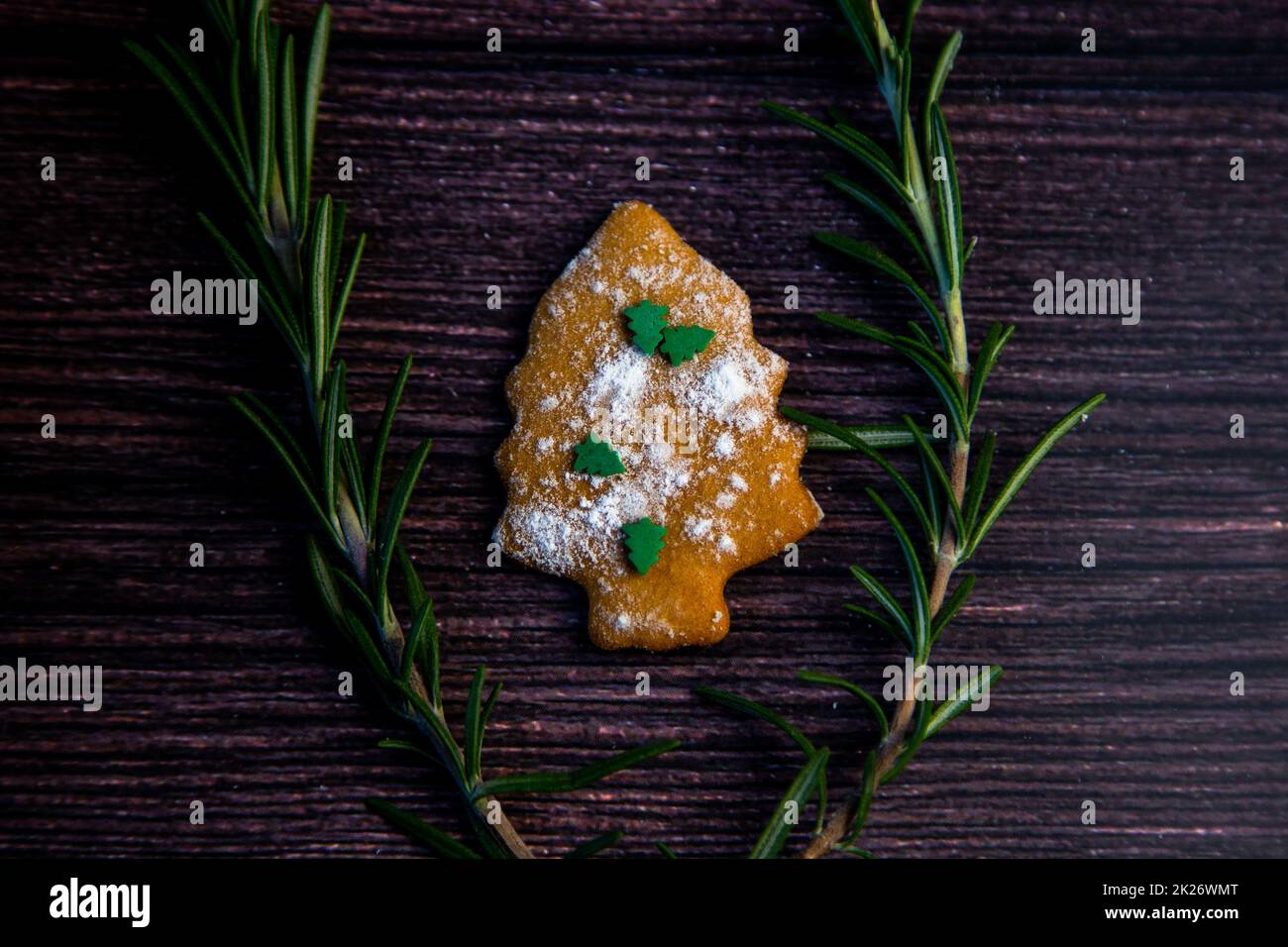 Cookies in the form of a Christmas tree, sprinkled with powdered sugar and small Christmas trees on top, lies on a dark wooden background surrounded by grained rosemary Stock Photo