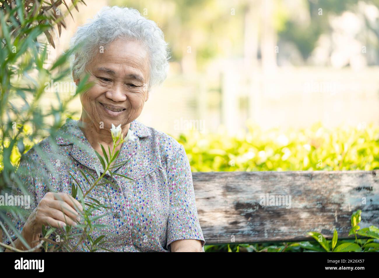 Asian senior or elderly old lady woman holding red rose flower, smile and happy in the sunny garden.. Stock Photo