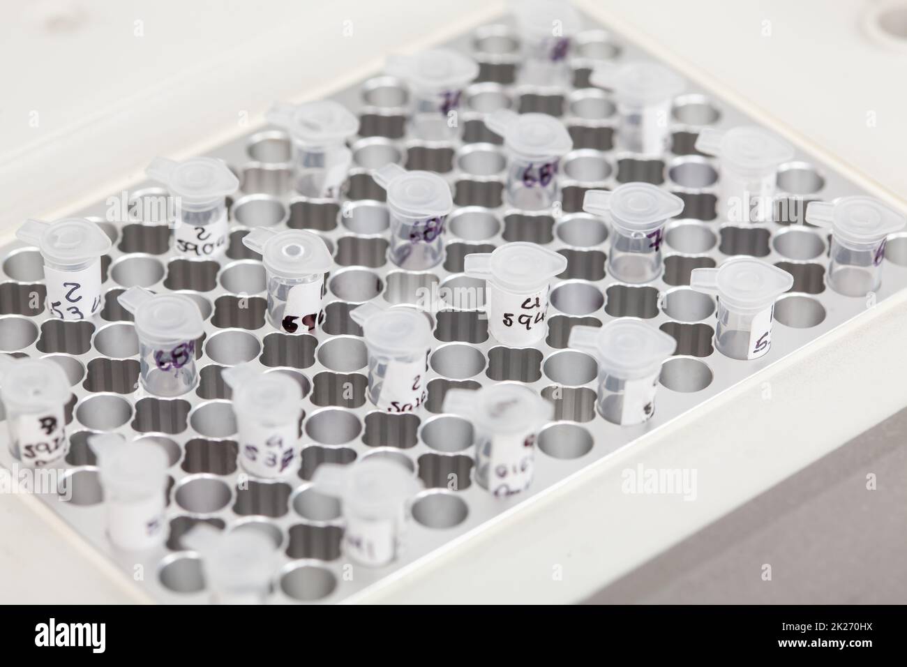 Closeup of test tubes at a thermal cycler block in a molecular biology laboratory. Polymerase chain reaction technique. PCR technique Stock Photo