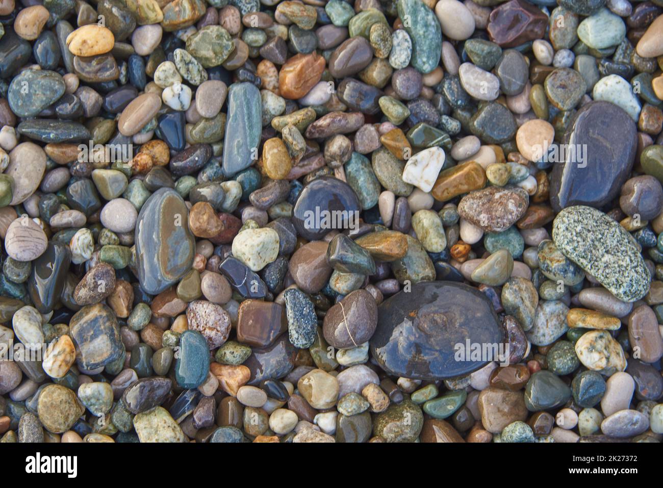 Full frame sea wet pebbles as a backdrop.  Stock Photo