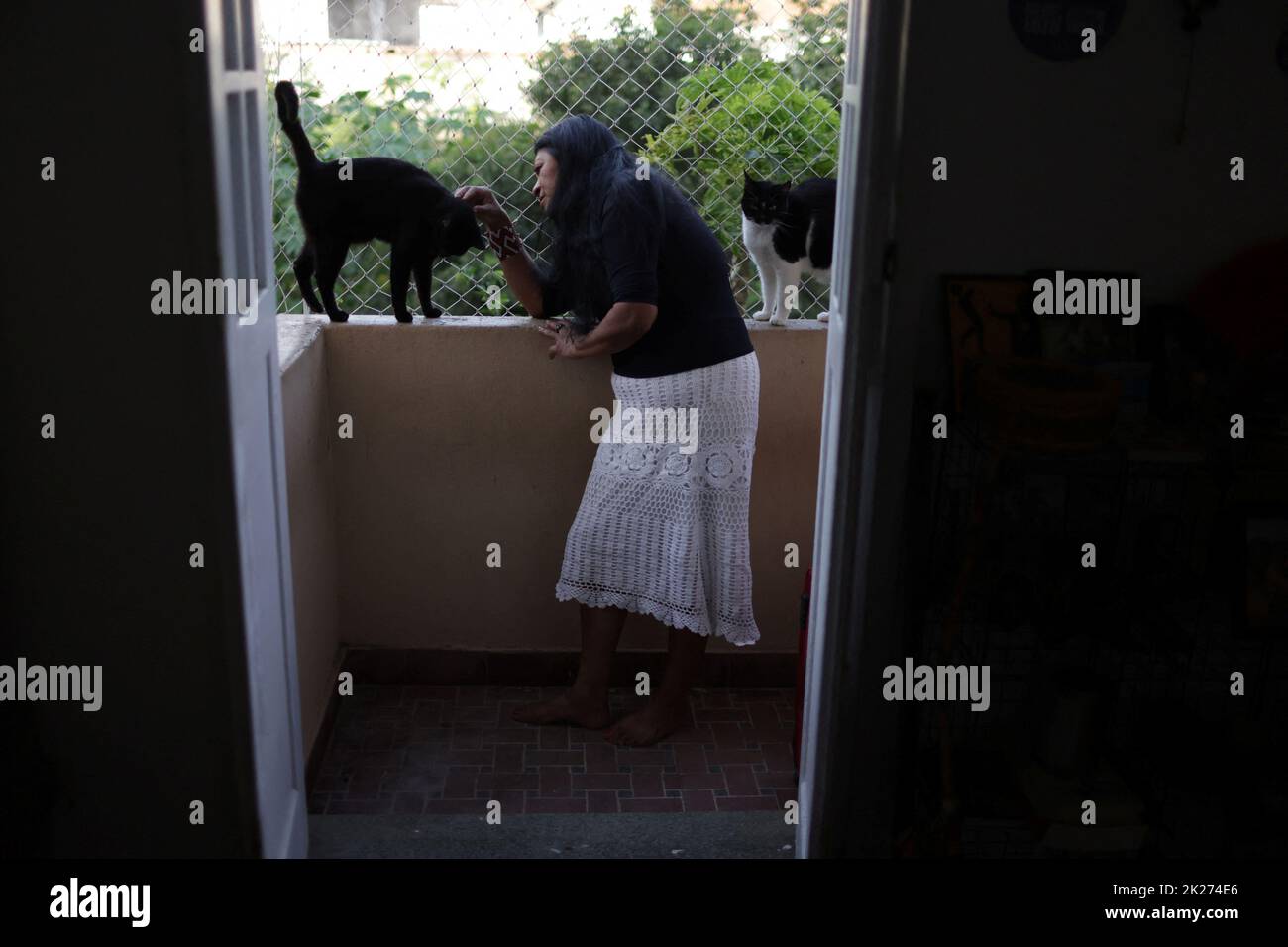 Tereza Arapium, from the Arapium indigenous people, candidate for Rio de Janeiro state deputy for the Rede Sustentabilidade party, plays with her cats at her home in Rio de Janeiro, Brazil September 20, 2022. REUTERS/Pilar Olivares Stock Photo