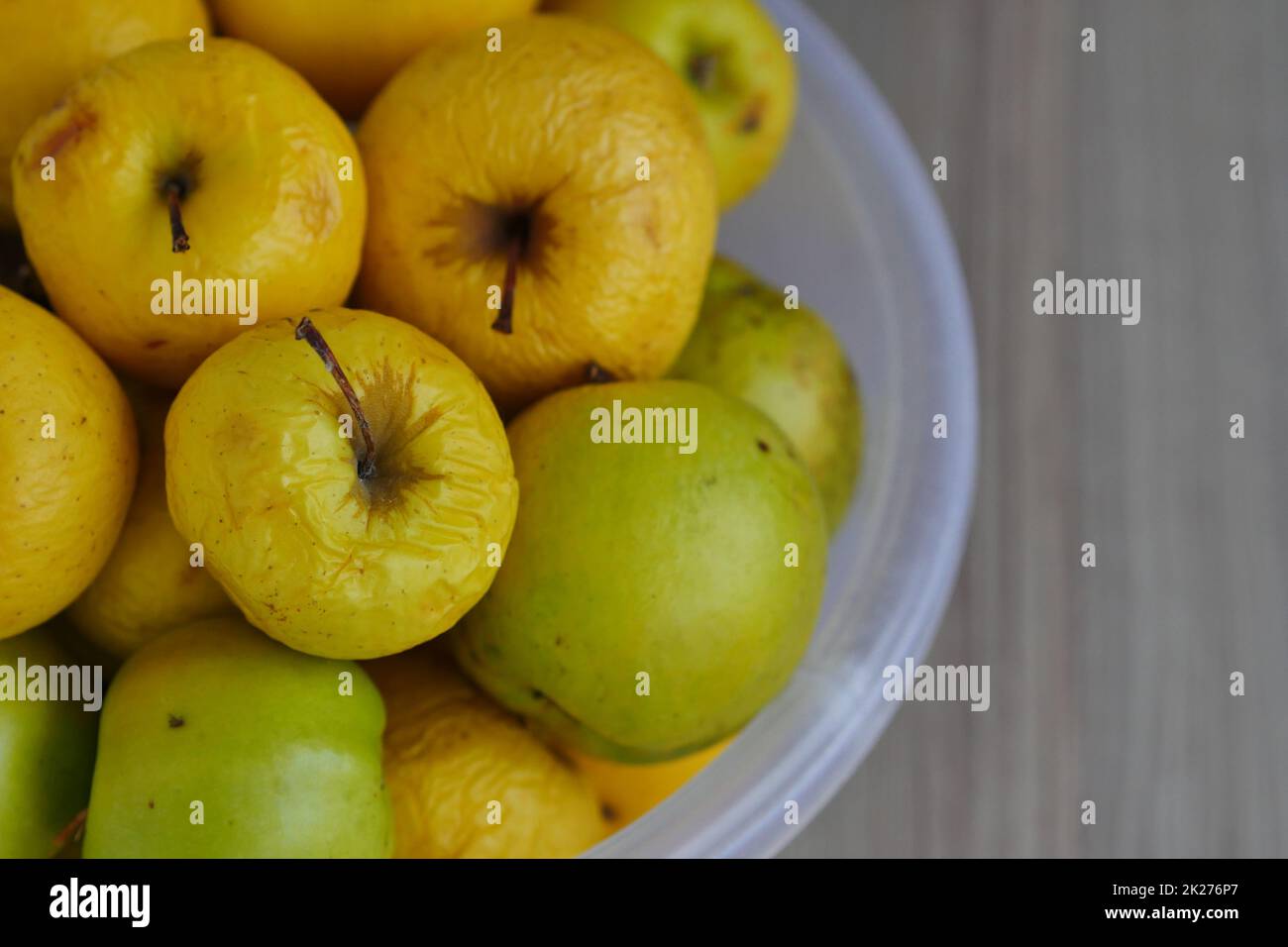 Rotting yellow apples, shriveled apples that have been sitting in a