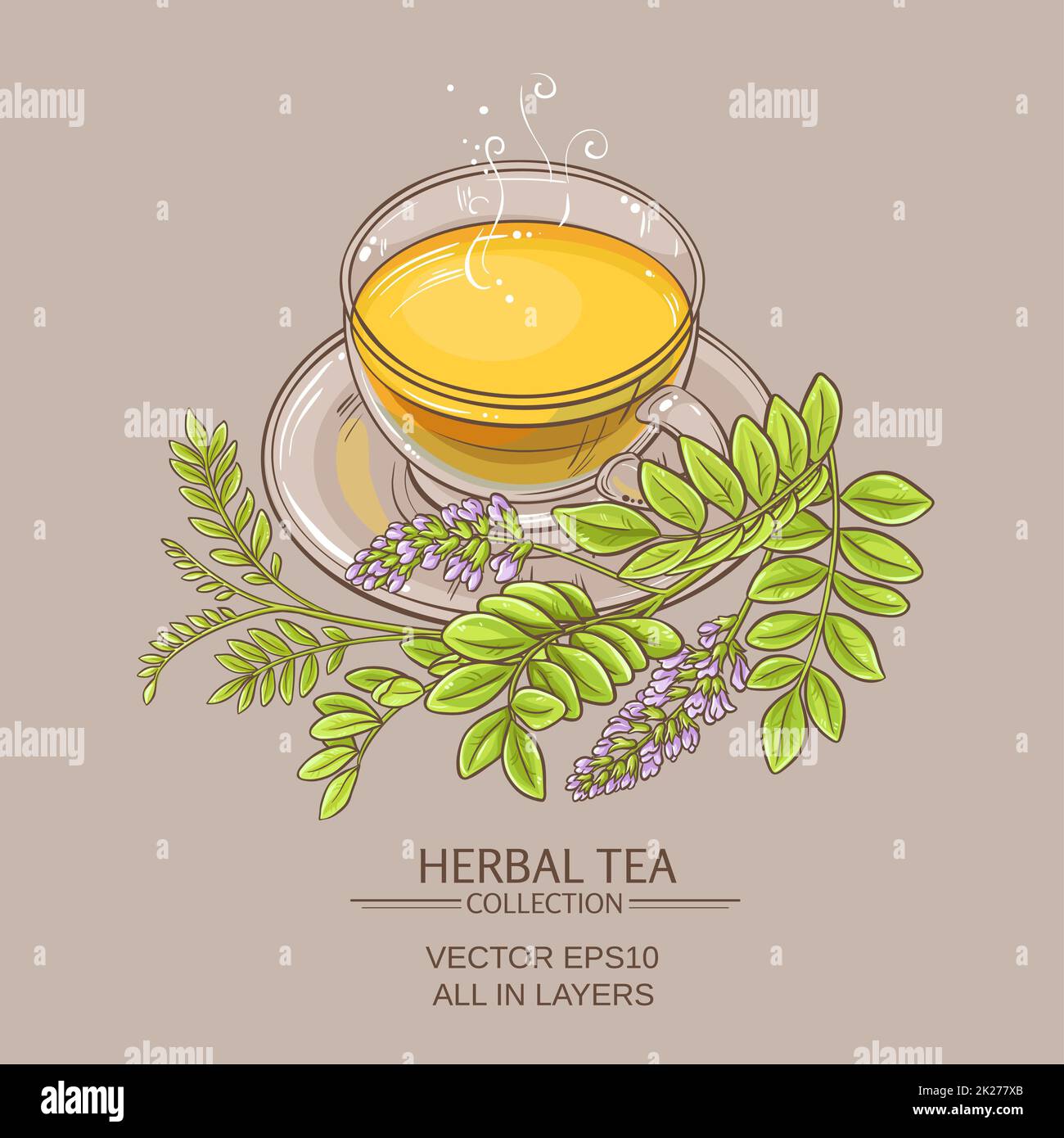 cup of licorice tea Stock Photo Alamy