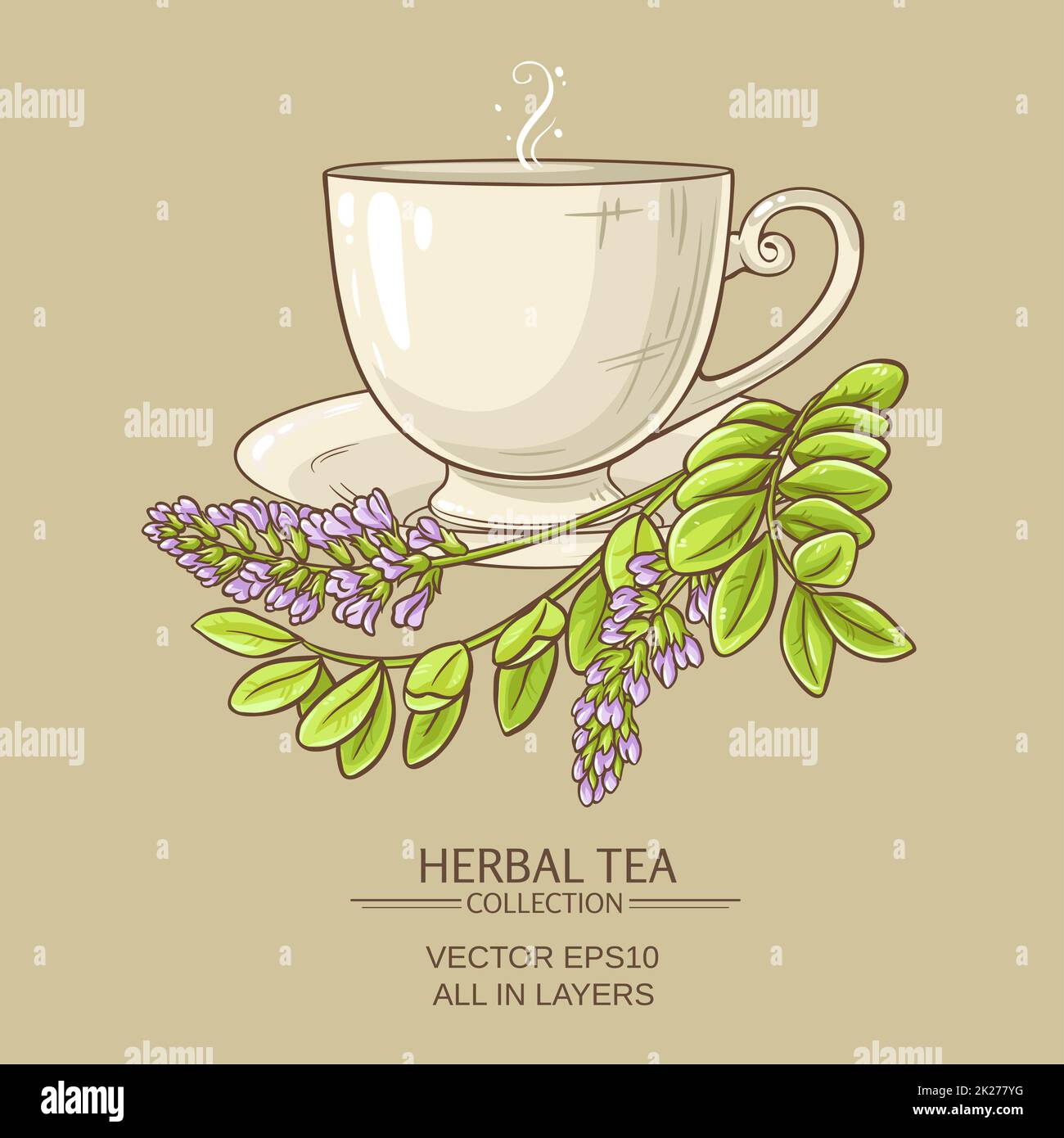 cup of licorice tea Stock Photo Alamy