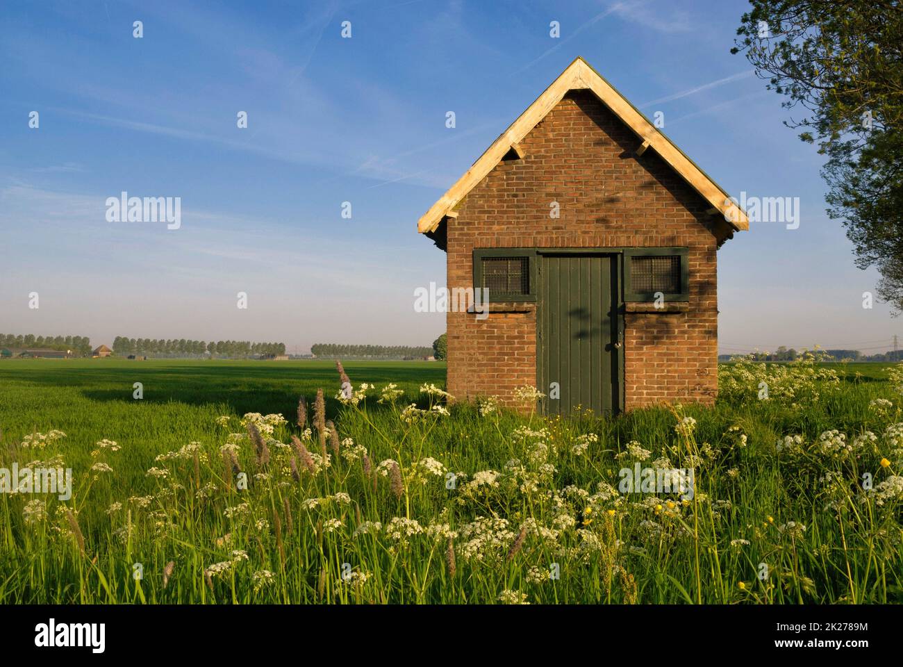 Shed in a wild flower covered landscape near Dordrecht Stock Photo