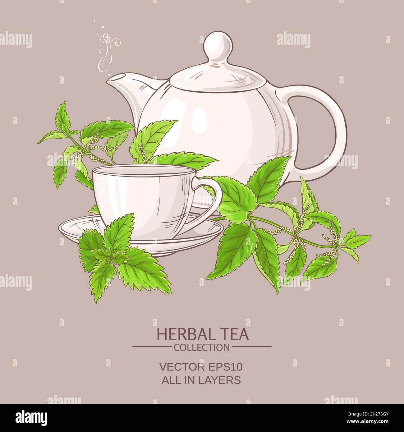 nettle tea illustration Stock Photo