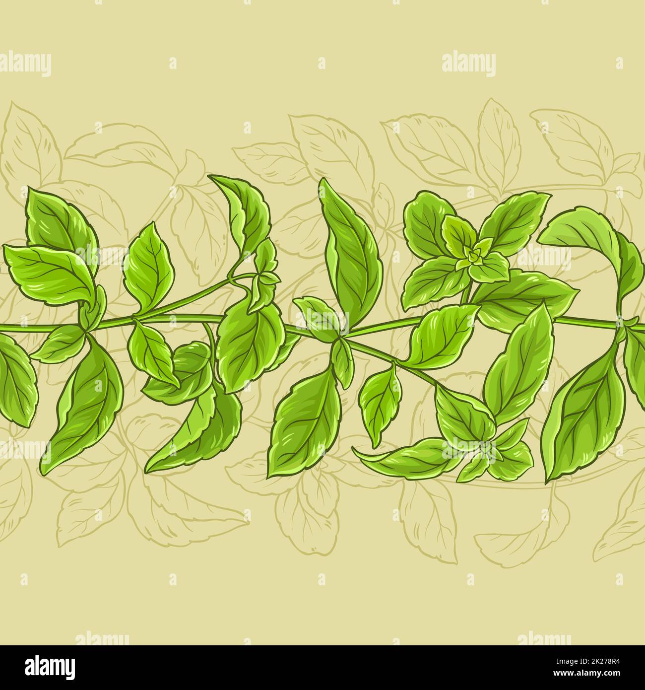 basil vector pattern Stock Photo - Alamy