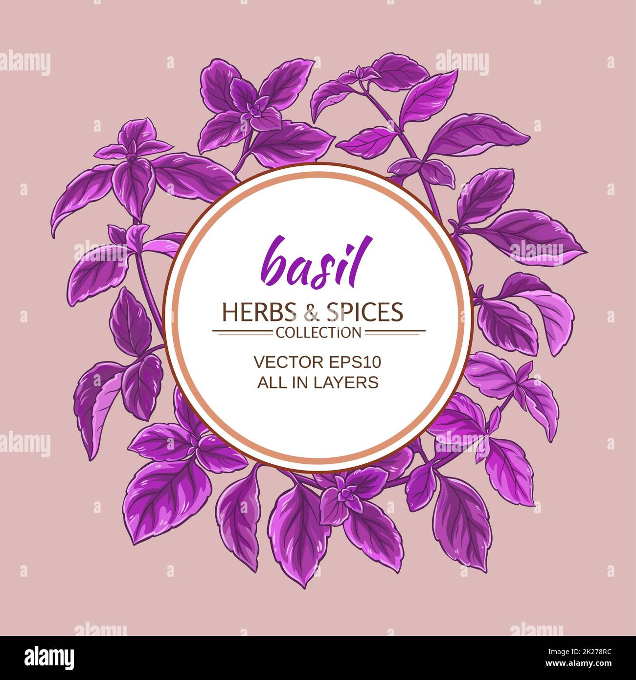 basil vector frame Stock Photo - Alamy