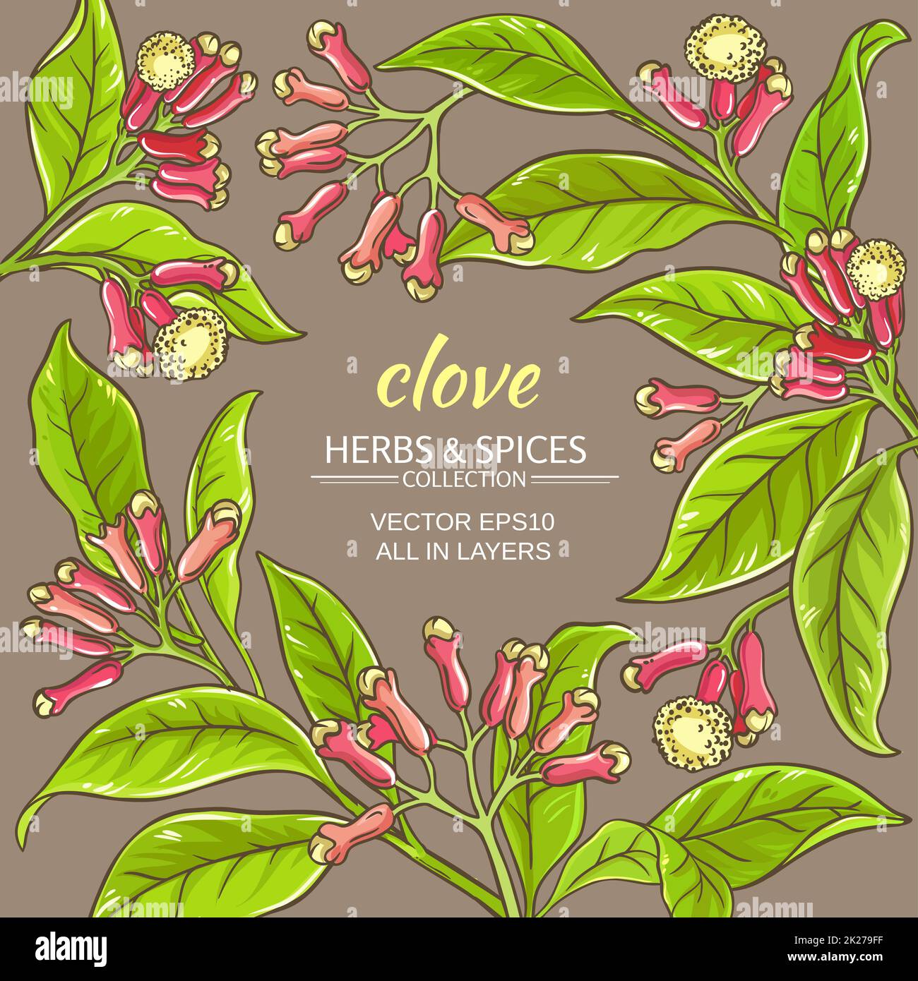 clove vector frame Stock Photo - Alamy