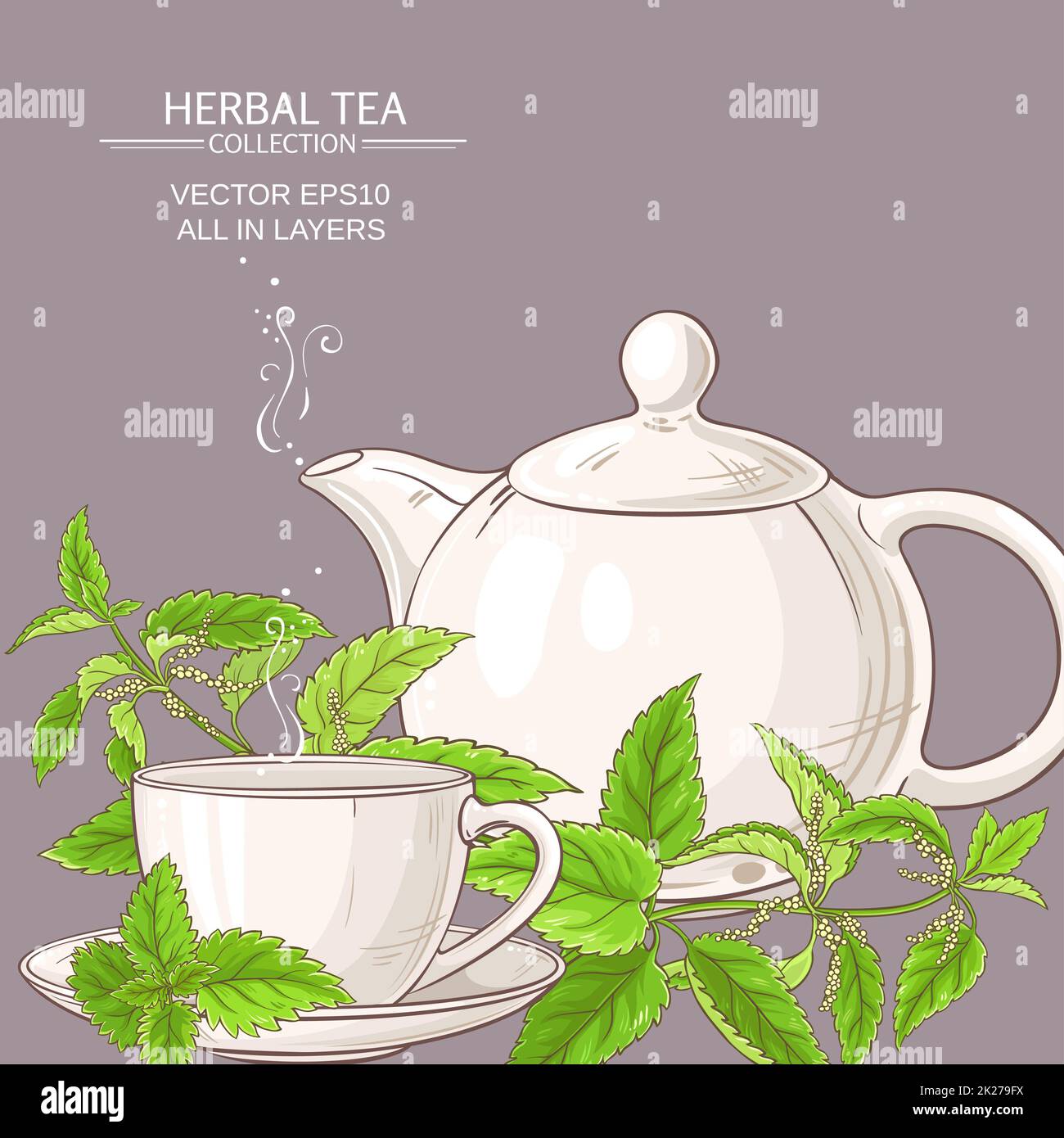 nettle tea illustration Stock Photo