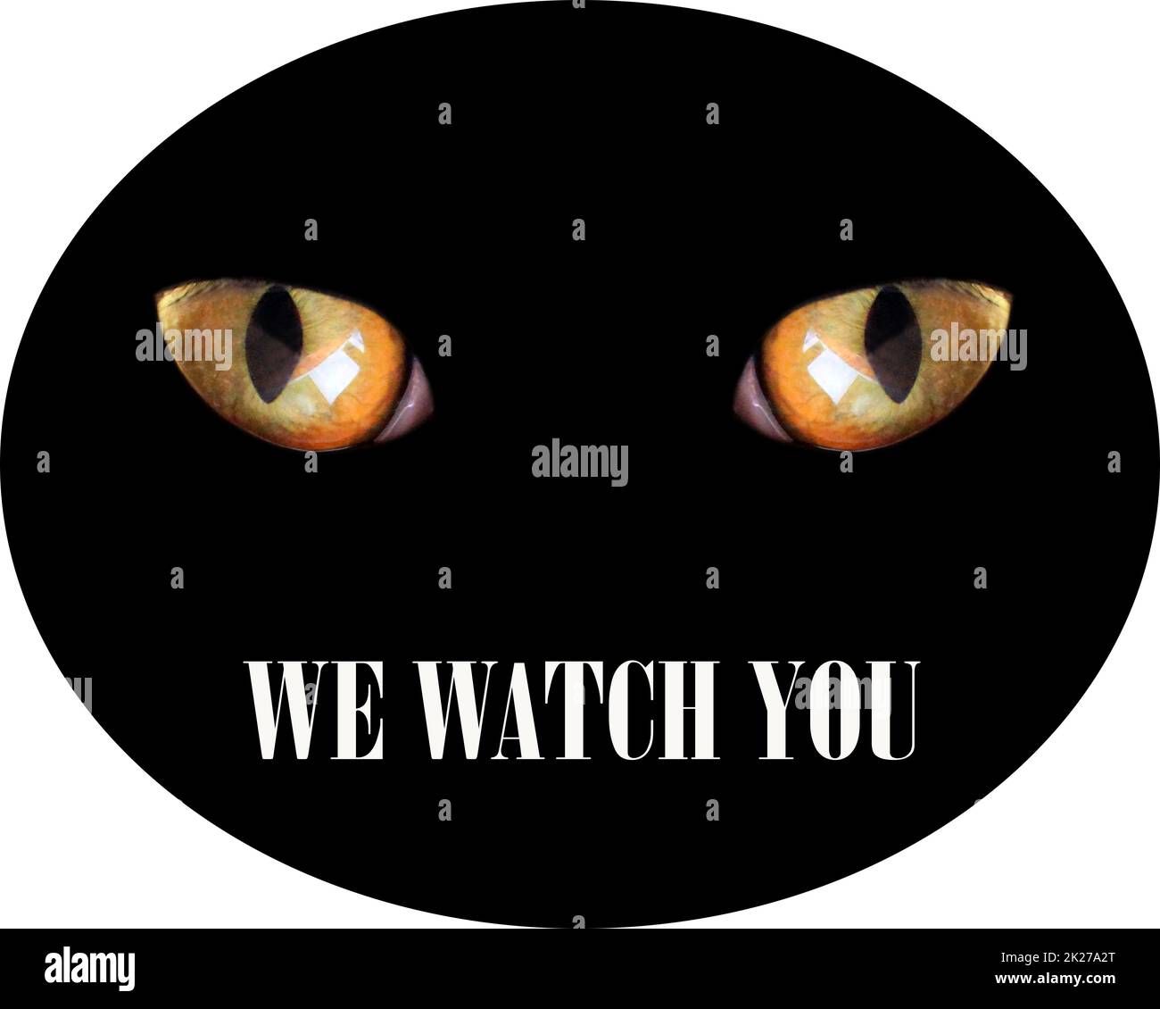 feline eyes in darkness and inscription we watch you. Warning sign