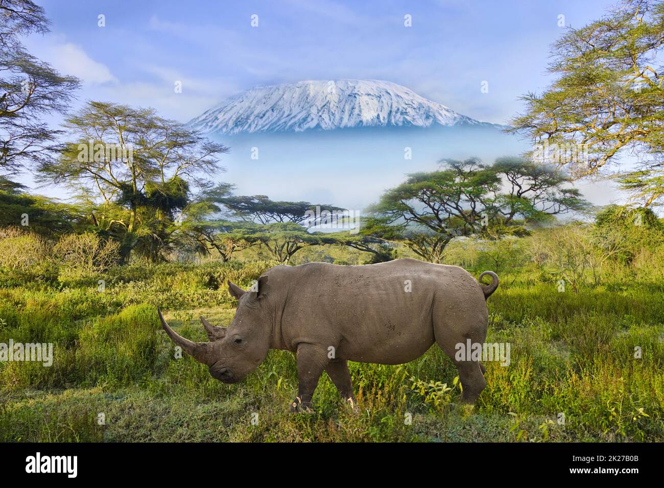 Elephants and Mount Kilimanjaro in Amboseli National Park Stock Photo