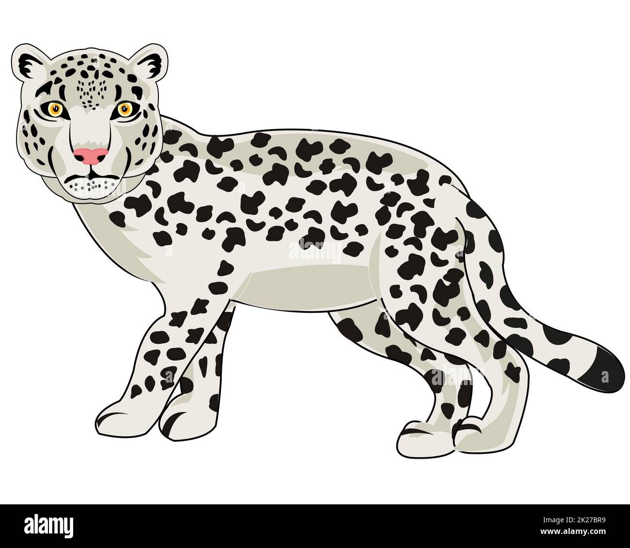 Snow snow leopard Cut Out Stock Images & Pictures - Alamy