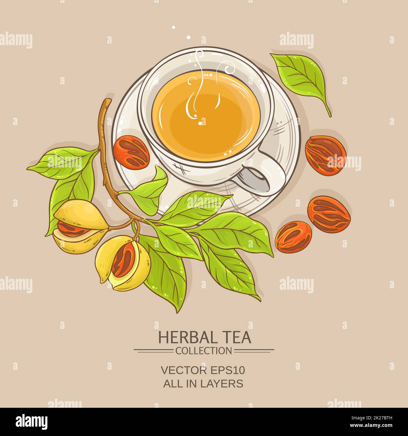 cup of nutmeg tea Stock Photo Alamy