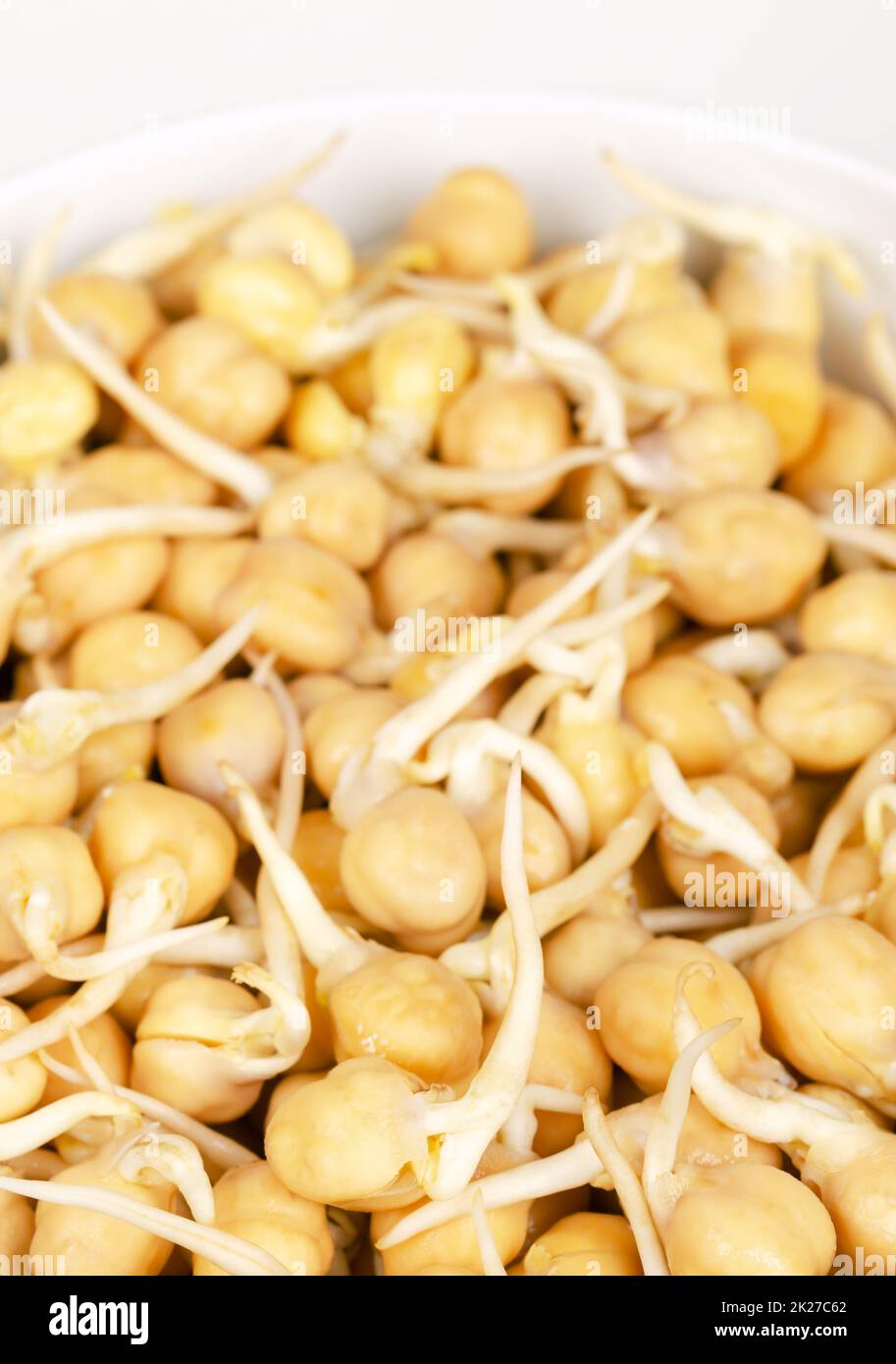 Chickpea sprouts, in a white bowl, sprouted garbanzo beans, close up Stock Photo Alamy