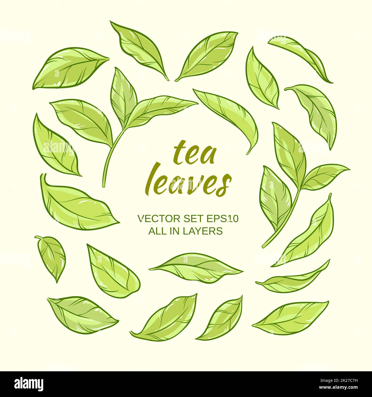 tea leaves set Stock Photo Alamy