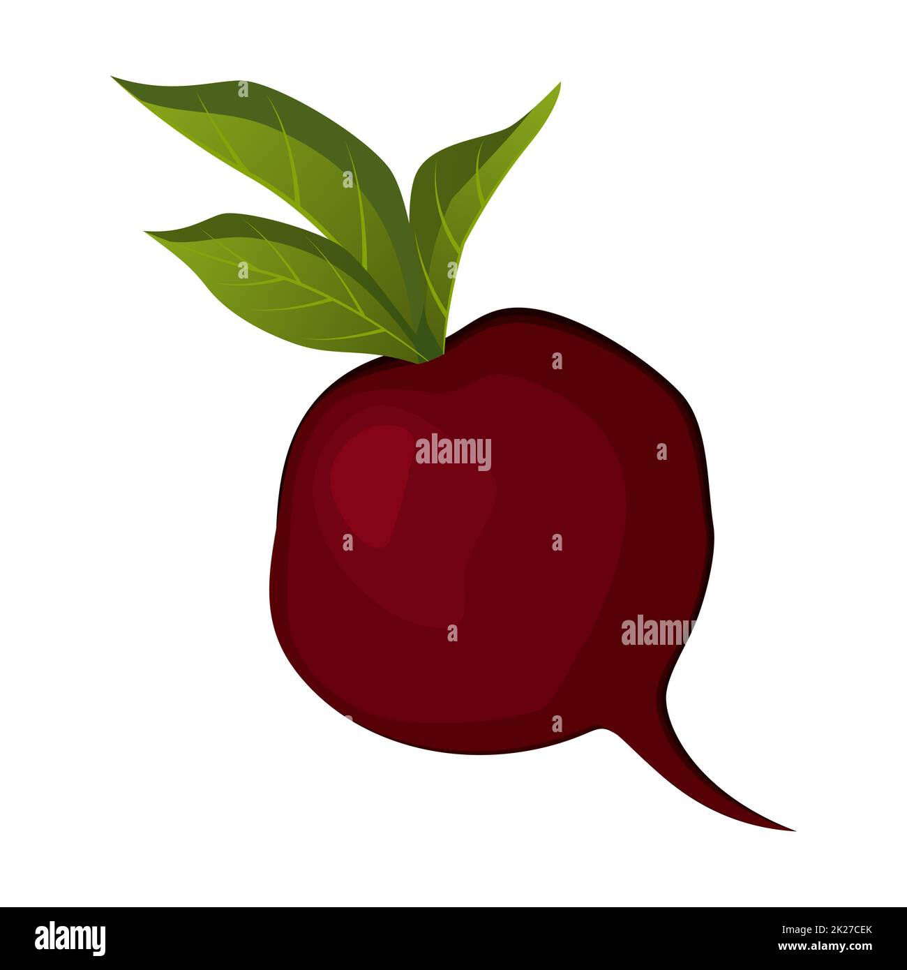 Realistic ripe fresh beetroot against white background - Vector Stock ...