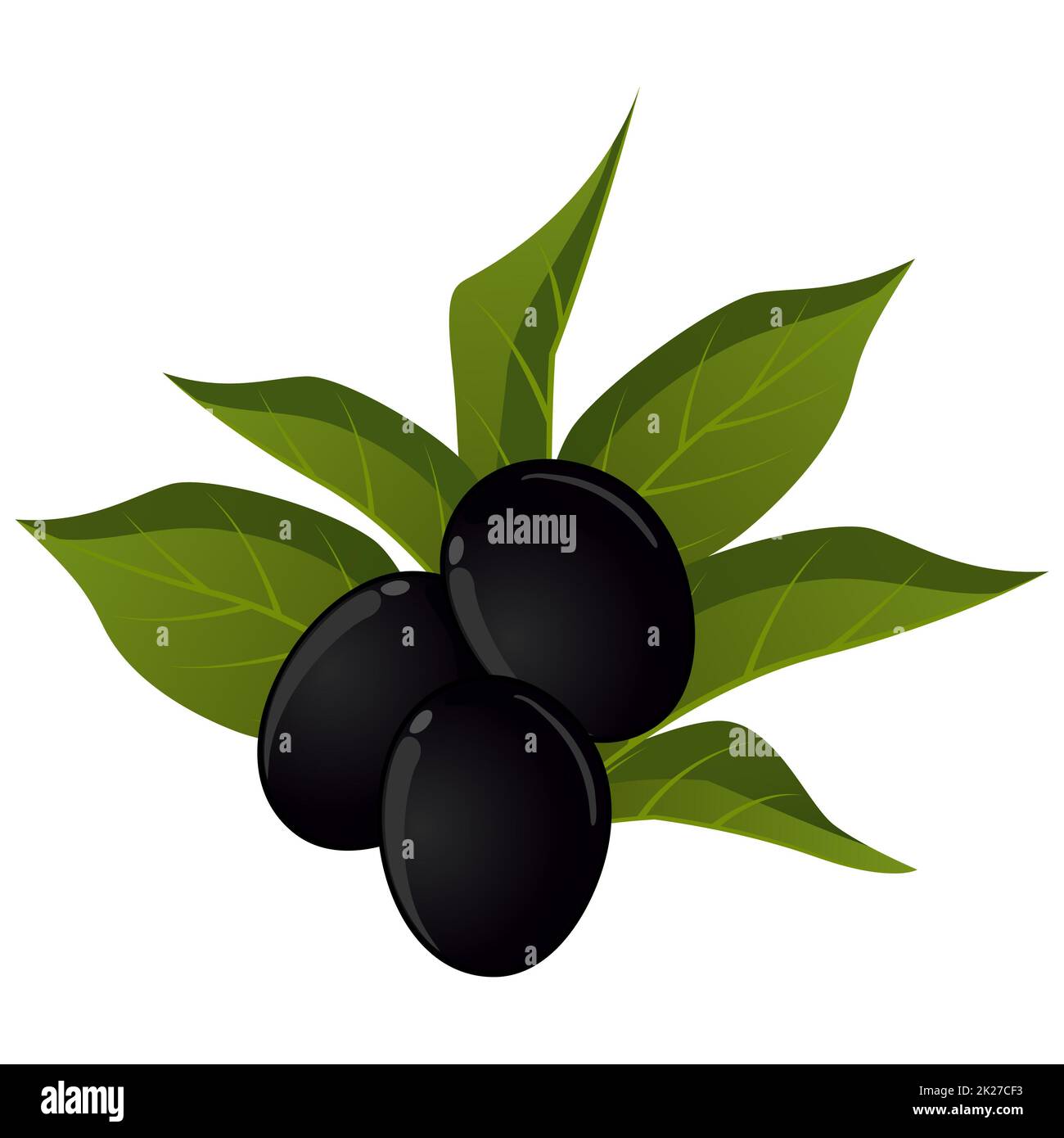 Realistic ripe fresh black olives against white background - Vector Stock Photo