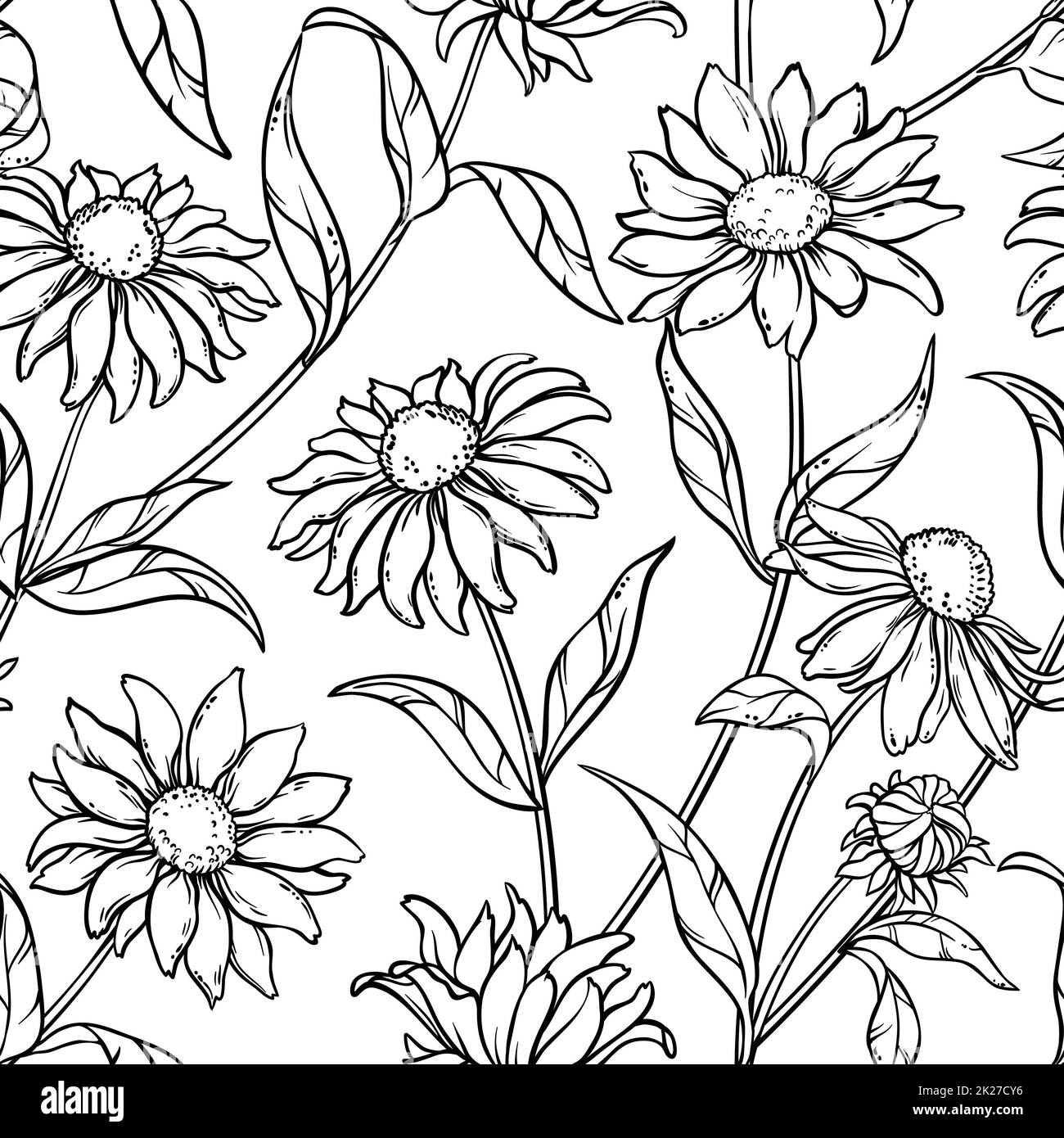 gabapentin and echinacea