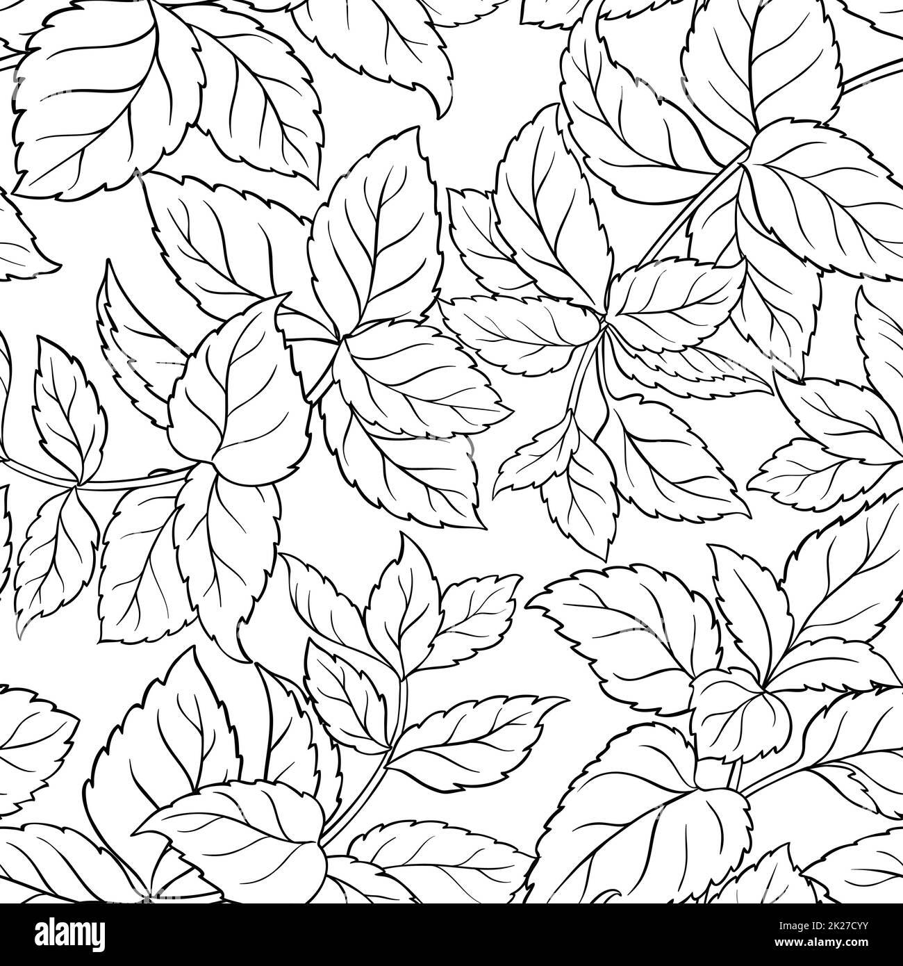 Melissa bunch Black and White Stock Photos & Images - Alamy