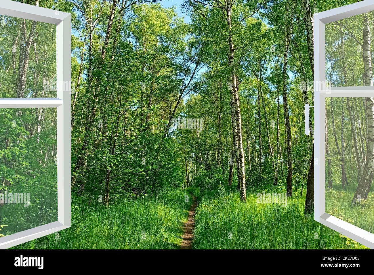 Panoramic window overlooking path in forest. Spring has come Stock Photo