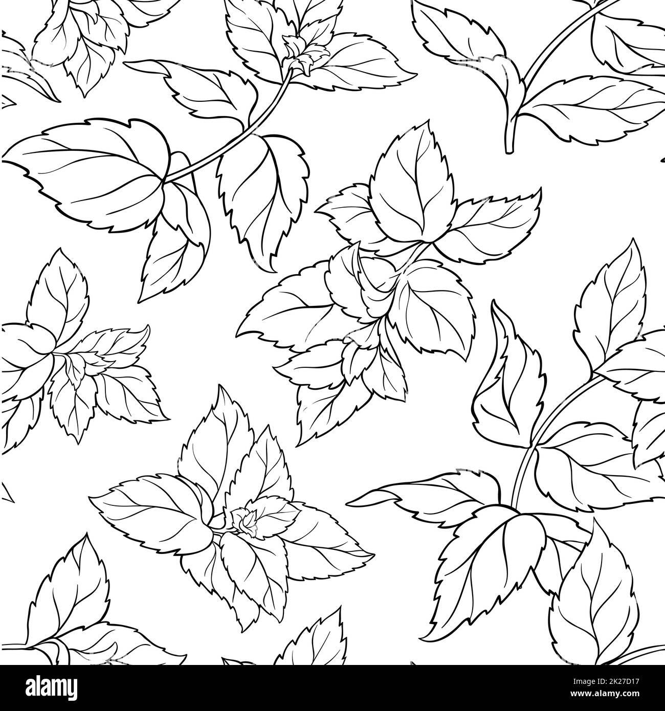 peppermint seamless pattern Stock Photo Alamy