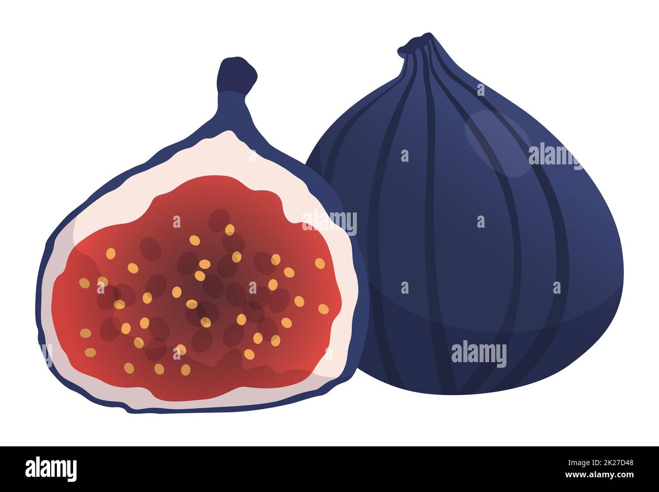 Realistic fresh ripe figs on white background - Vector Stock Photo - Alamy