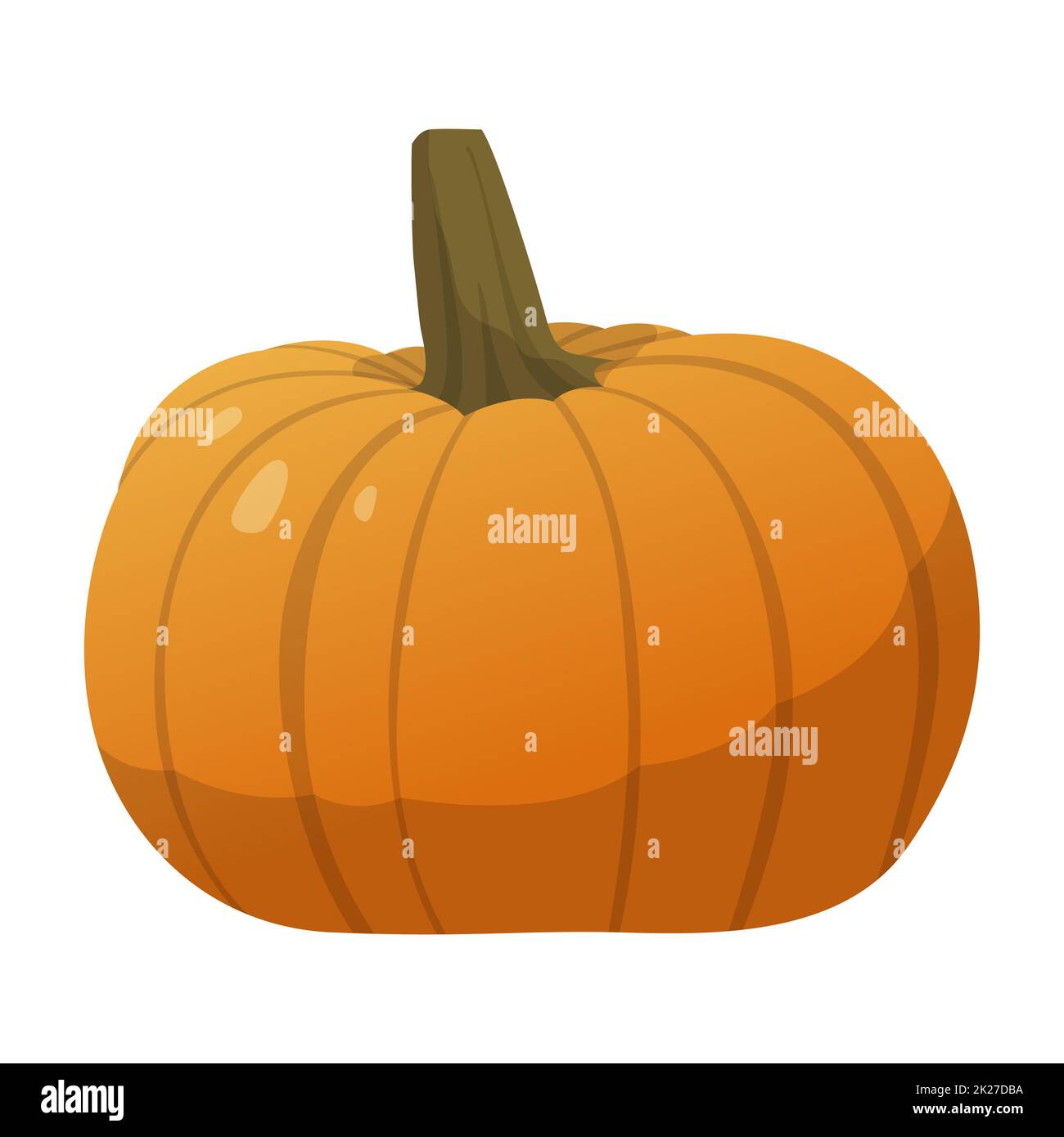 Realistic fresh ripe pumpkin isolated on white background - Vector ...
