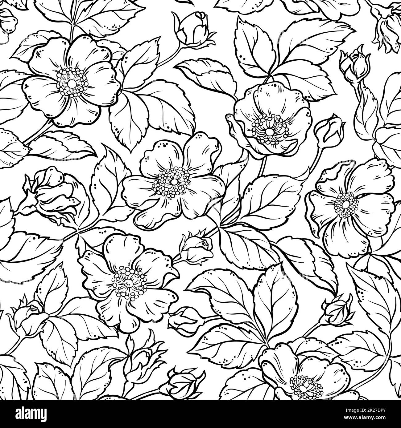 wild rose flowers seamless pattern Stock Photo - Alamy