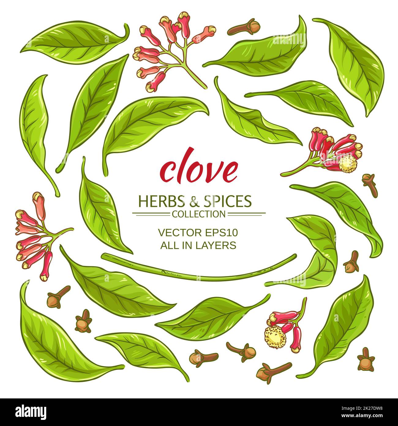 clove elements set Stock Photo Alamy
