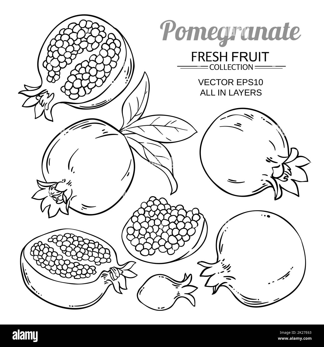 pomegranate fruits vector set Stock Photo