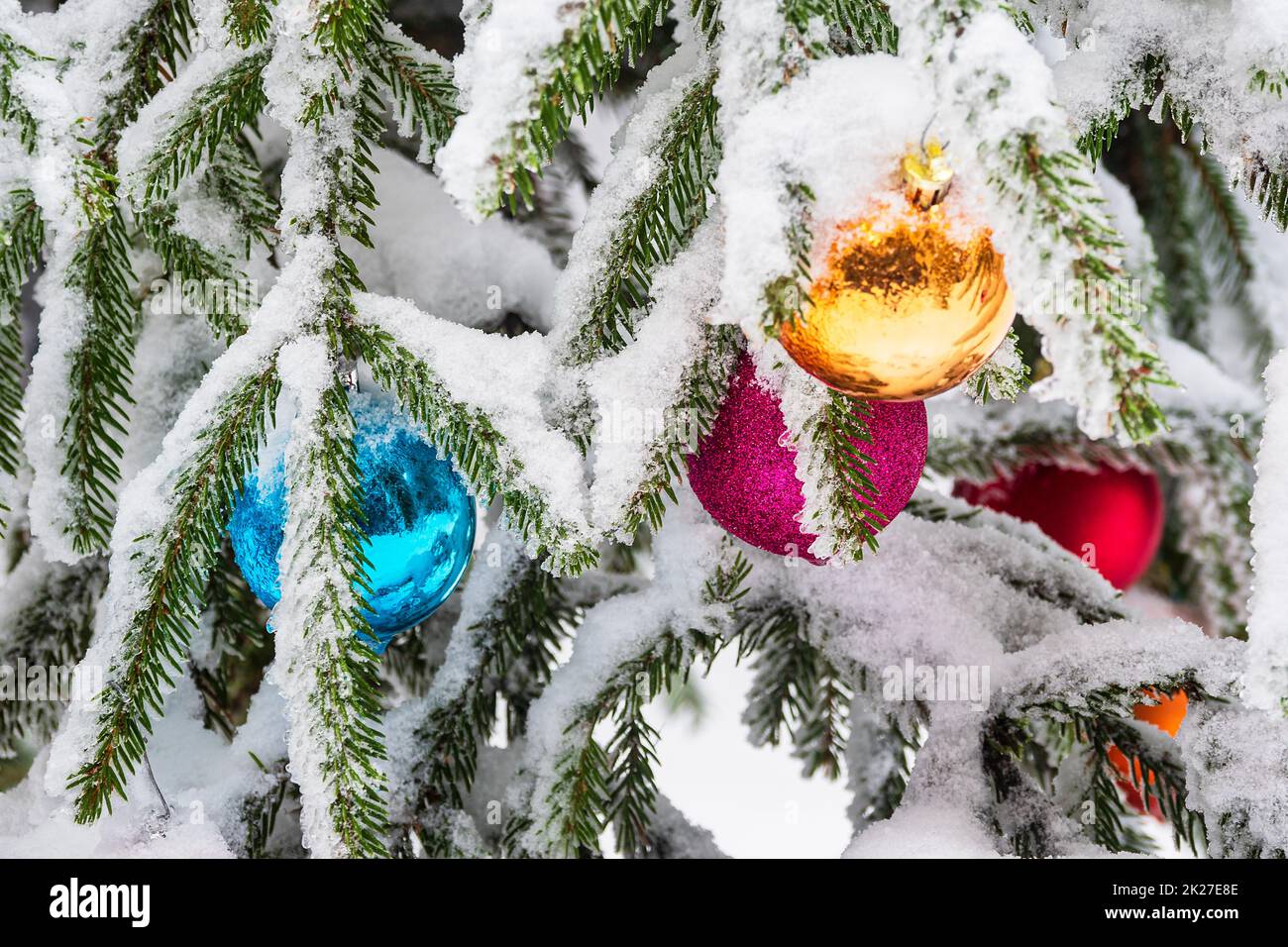 Christmas tree balls in winter time in the Thuringian Forest near Schmiedefeld am Rennsteig, Germany Stock Photo