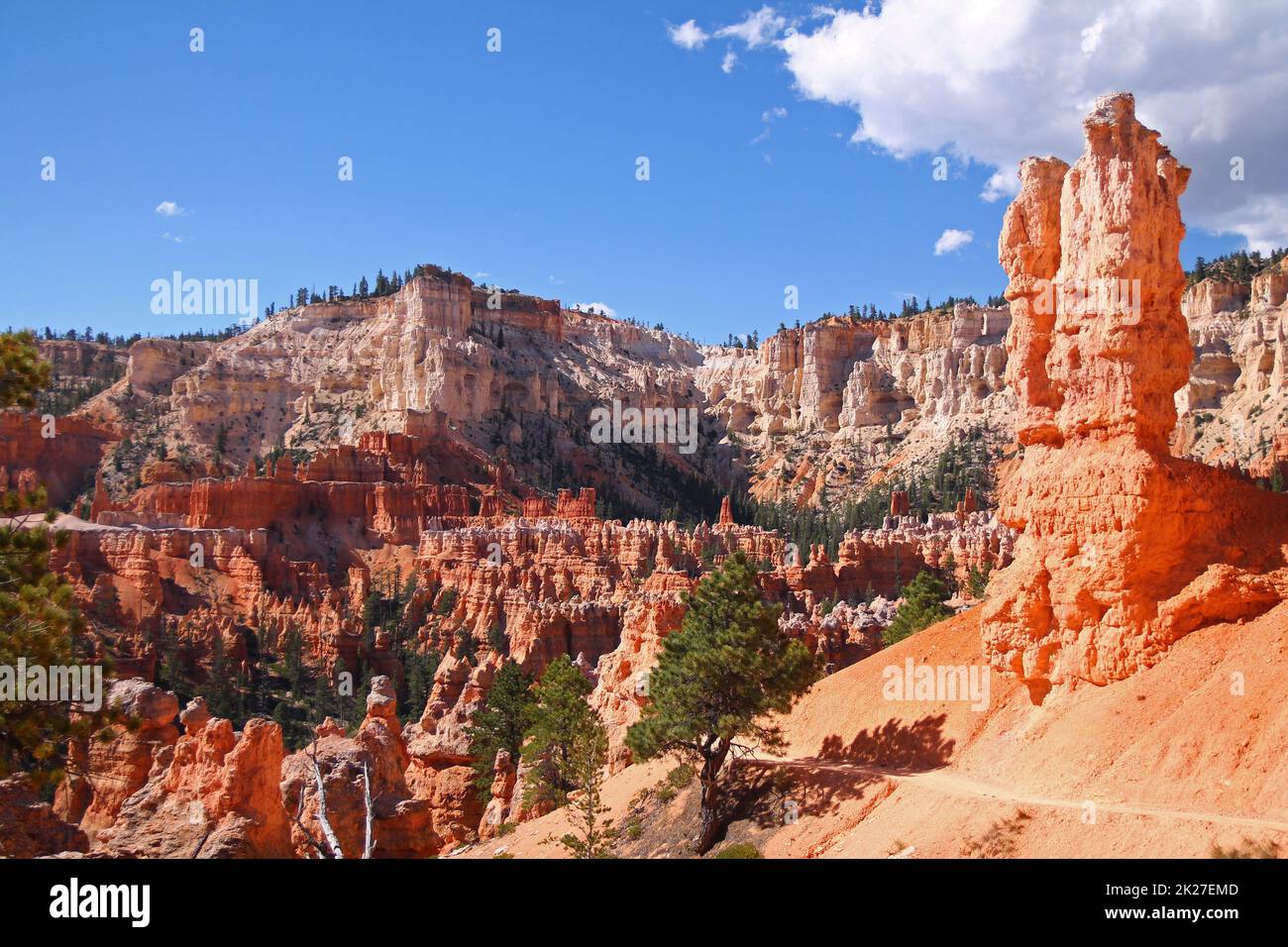 The wild trail around the big orange rocks of the Bryce Canyon National Park Stock Photo