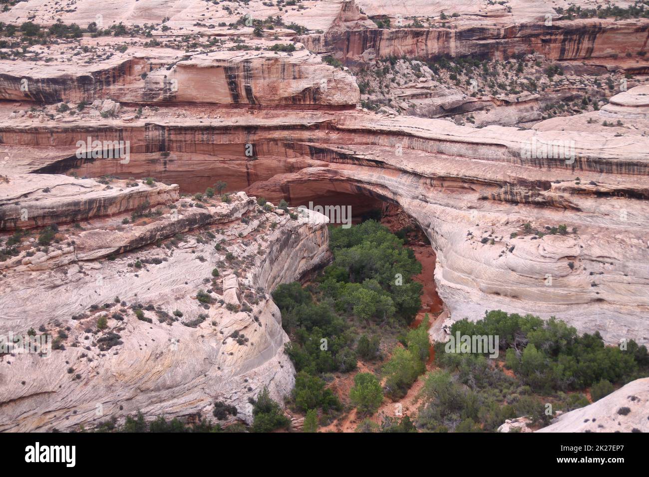 The pink canyons of the Natural Bridges National Monument in a cloudy day Stock Photo